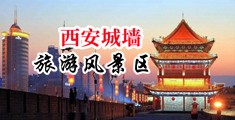 日本男人j插入日本女人逼视频中国陕西-西安城墙旅游风景区